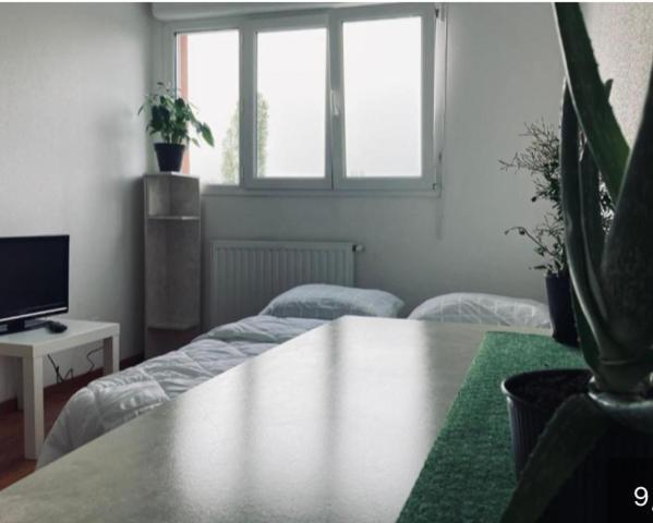 Eckbolsheim Zenith Strasbourg 2 Chambre מראה חיצוני תמונה